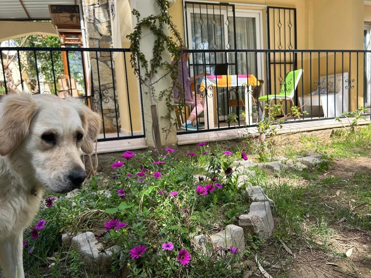 çileks apart otel Fethiye