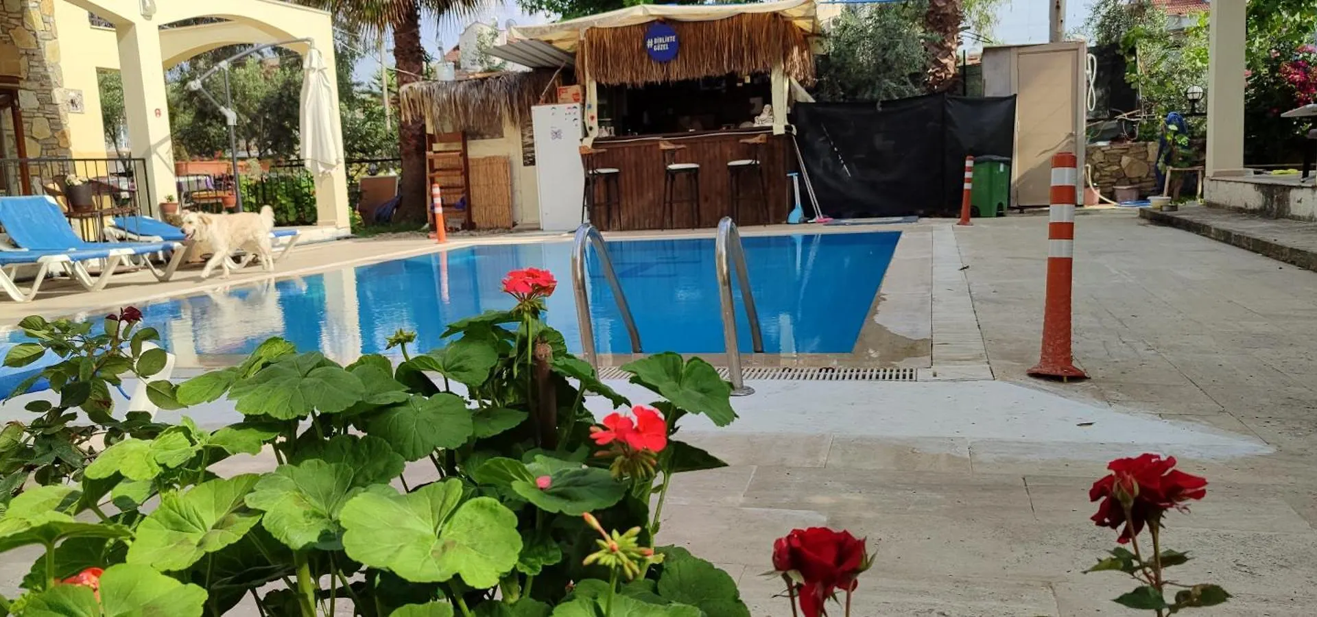 çileks apart otel Fethiye