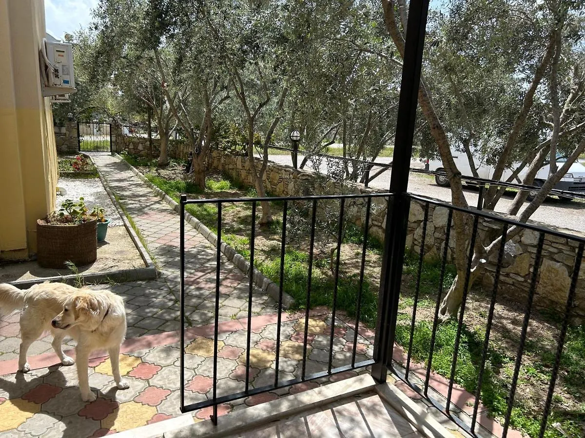 Aparthotel Cileks Apart Otel Fethiye